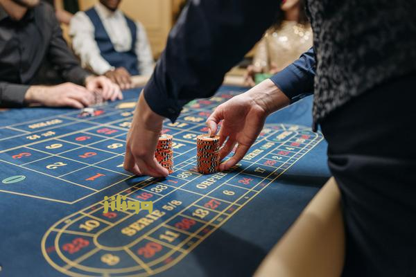 Betting system jiliqq